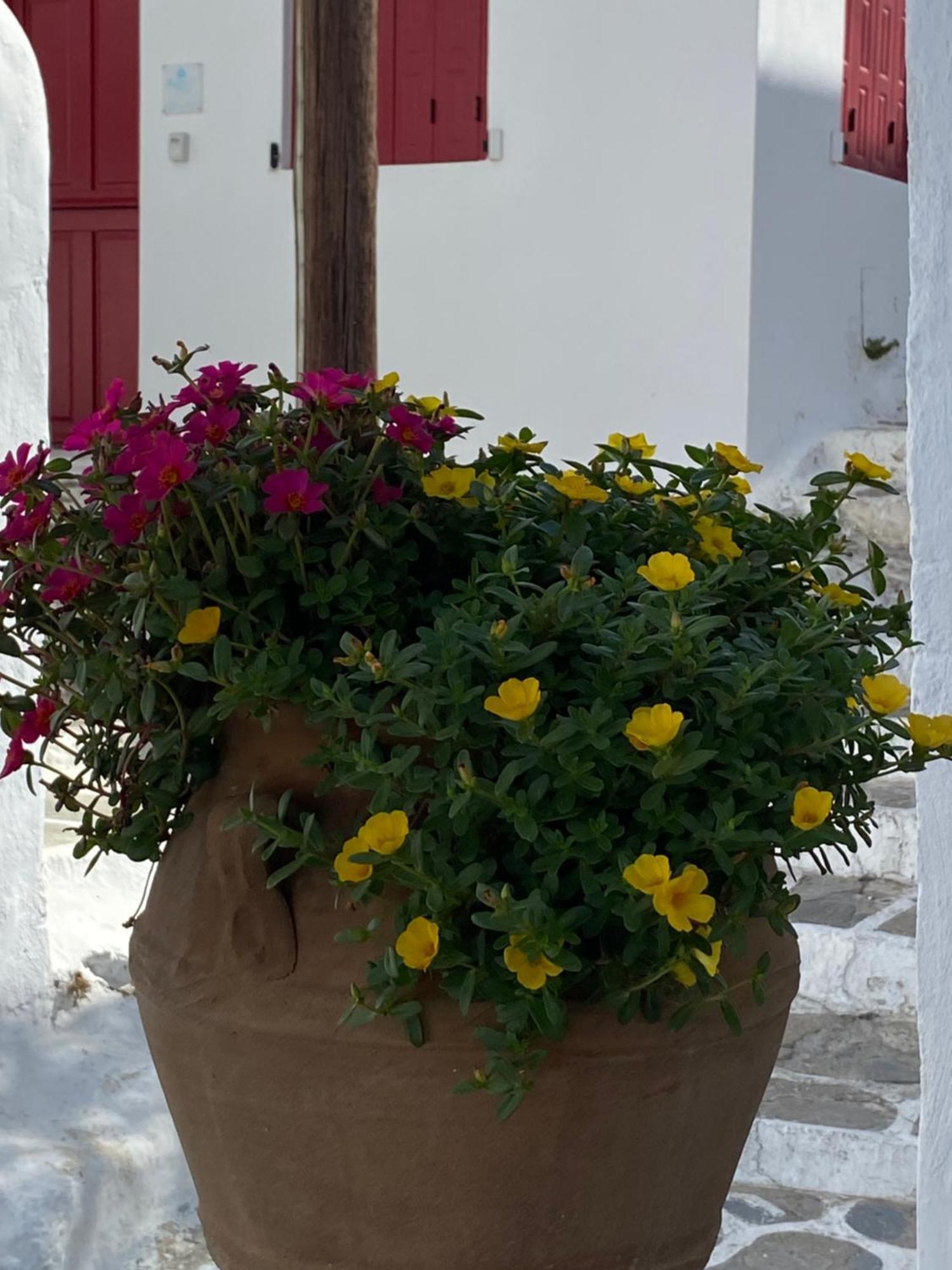 Hotel Pensione Della Nonna Mykonos Town Exterior foto